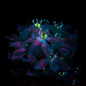 双男生子 大肚 尿 失禁
